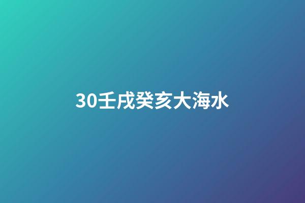 30.壬戌癸亥大海水