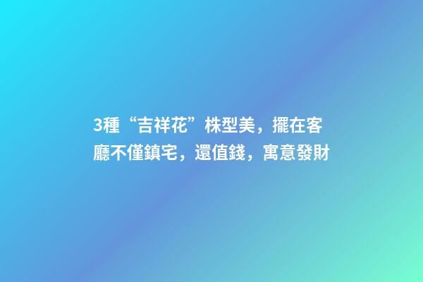 3種“吉祥花”株型美，擺在客廳不僅鎮宅，還值錢，寓意發財