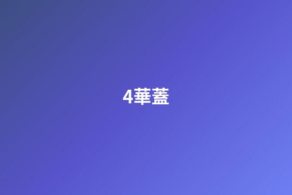 4.華蓋