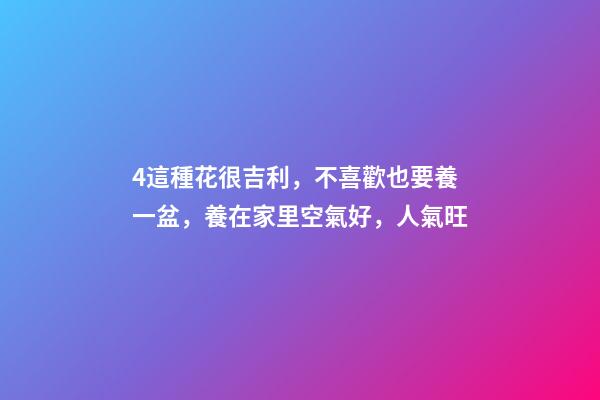 4這種花很吉利，不喜歡也要養一盆，養在家里空氣好，人氣旺
