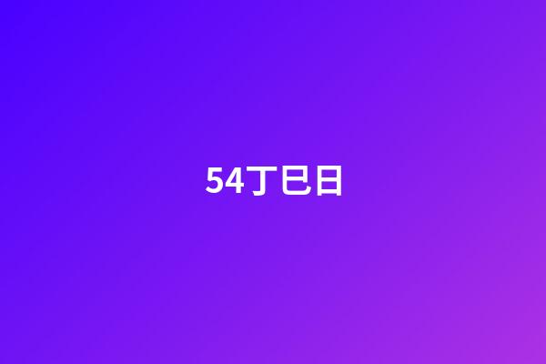 54.丁巳日