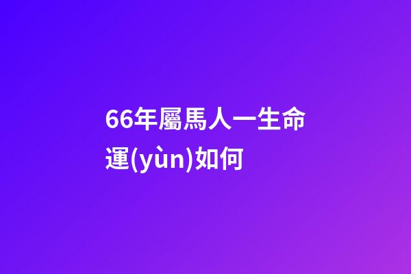 66年屬馬人一生命運(yùn)如何(66歲大媽哭訴：我退休金5500塊，卻拿不出兩塊錢給孫子買烤腸)-第1張-觀點(diǎn)-玄機(jī)派