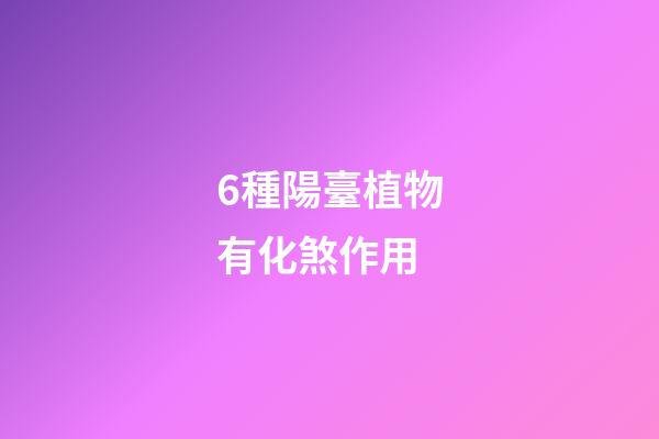6種陽臺植物有化煞作用