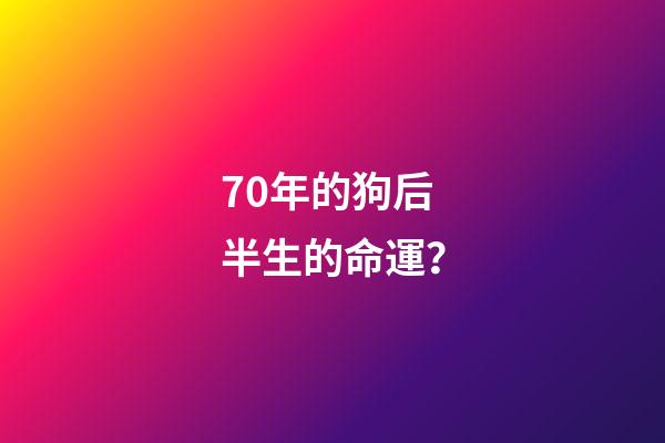 70年的狗后半生的命運？(農(nóng)村老人說：“雞不過六載，狗不過八年”，是啥意思？)-第1張-觀點-玄機派