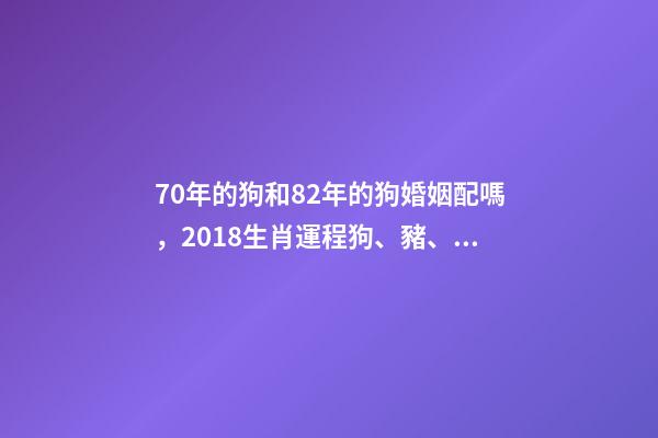 70年的狗和82年的狗婚姻配嗎，2018生肖運程狗、豬、鼠、牛、虎、兔-第1張-觀點-玄機派