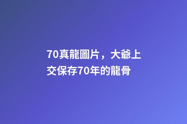 70真龍圖片，大爺上交保存70年的龍骨-第1張-觀點-玄機派