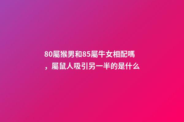 80屬猴男和85屬牛女相配嗎，屬鼠人吸引另一半的是什么-第1張-觀點-玄機派