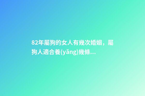 82年屬狗的女人有幾次婚姻，屬狗人適合養(yǎng)幾條魚-第1張-觀點-玄機派