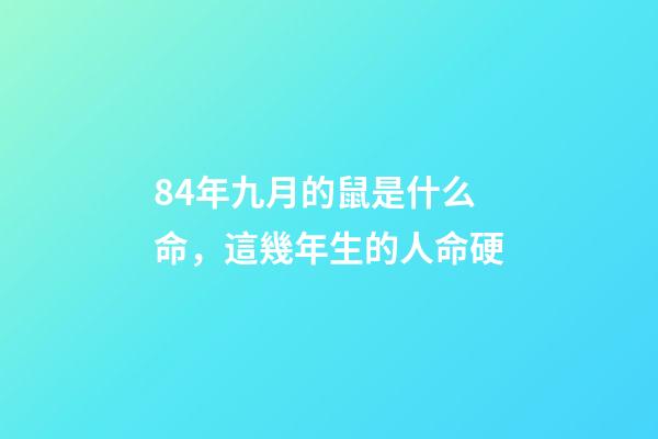 84年九月的鼠是什么命，這幾年生的人命硬-第1張-觀點-玄機派
