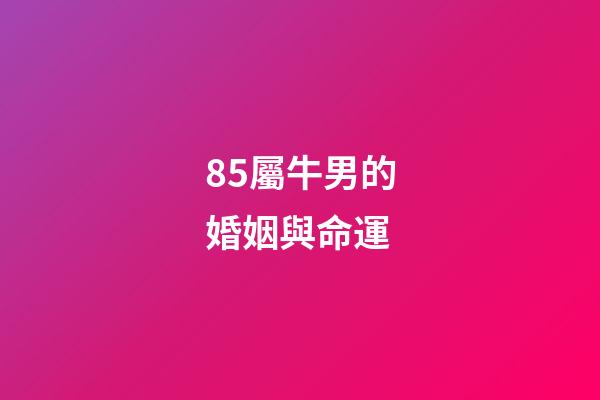 85屬牛男的婚姻與命運(漢蘭達陸放怎么選？今天告訴你答案)-第1張-觀點-玄機派