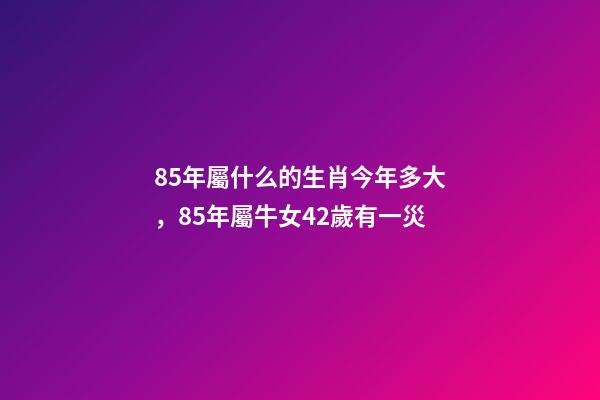 85年屬什么的生肖今年多大，85年屬牛女42歲有一災-第1張-觀點-玄機派