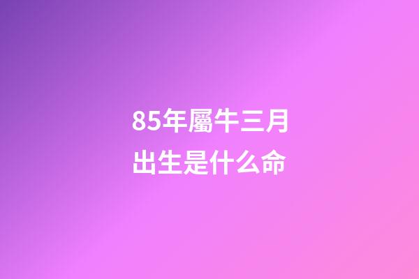 85年屬牛三月出生是什么命(屬牛人下半年財富看7月!)-第1張-觀點-玄機派