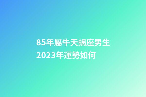 85年屬牛天蝎座男生2023年運勢如何-第1張-星座運勢-玄機(jī)派