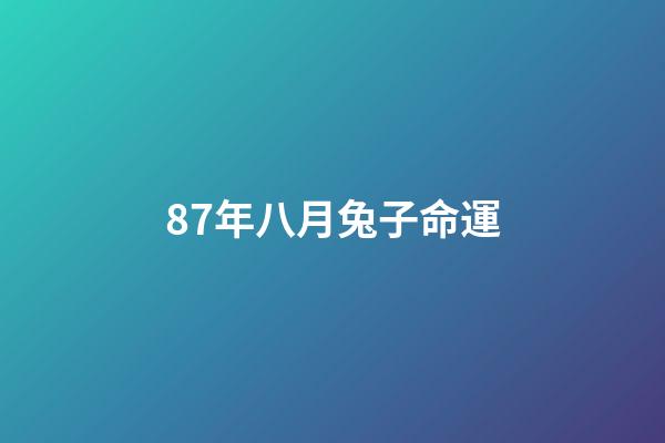 87年八月兔子命運(屬兔的做什么生意賺錢 87年兔適合做什么工作)-第1張-觀點-玄機派