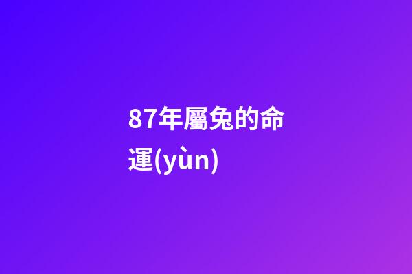 87年屬兔的命運(yùn)(87年屬兔男婚姻怎樣)-第1張-觀(guān)點(diǎn)-玄機(jī)派