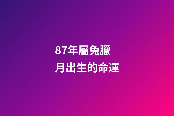 87年屬兔臘月出生的命運(屬虎和屬兔臘月初一真的轉運了，春節前外債還清，春節后財運爆棚)-第1張-觀點-玄機派