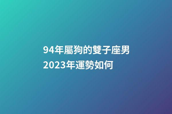 94年屬狗的雙子座男2023年運勢如何-第1張-星座運勢-玄機派