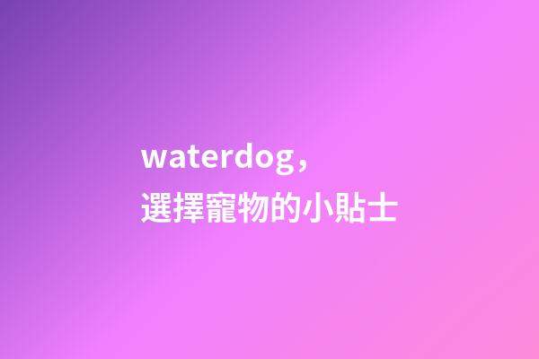 waterdog，選擇寵物的小貼士-第1張-觀點-玄機派