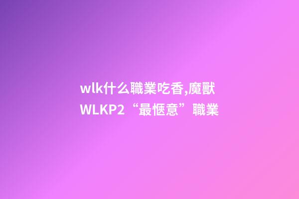 wlk什么職業吃香,魔獸WLKP2“最愜意”職業-第1張-觀點-玄機派