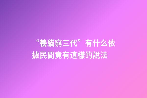 “養貓窮三代”有什么依據?民間竟有這樣的說法