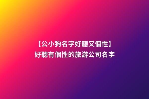 【公小狗名字好聽又個性】好聽有個性的旅游公司名字-第1張-公司起名-玄機派