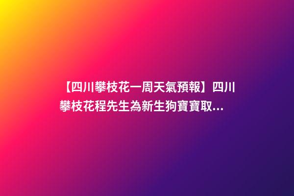 【四川攀枝花一周天氣預報】四川攀枝花程先生為新生狗寶寶取名時尚型套餐-第1張-公司起名-玄機派