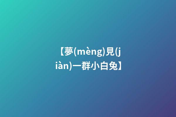 【夢(mèng)見(jiàn)一群小白兔】