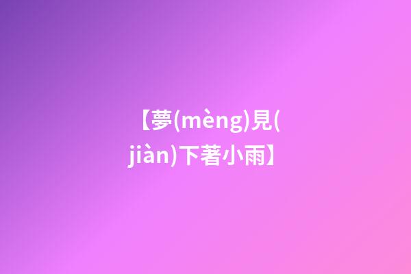 【夢(mèng)見(jiàn)下著小雨】