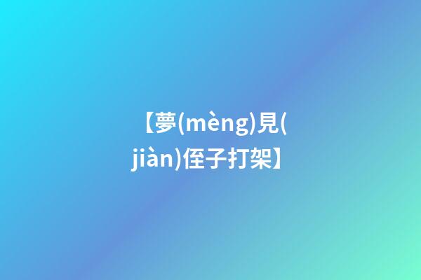 【夢(mèng)見(jiàn)侄子打架】