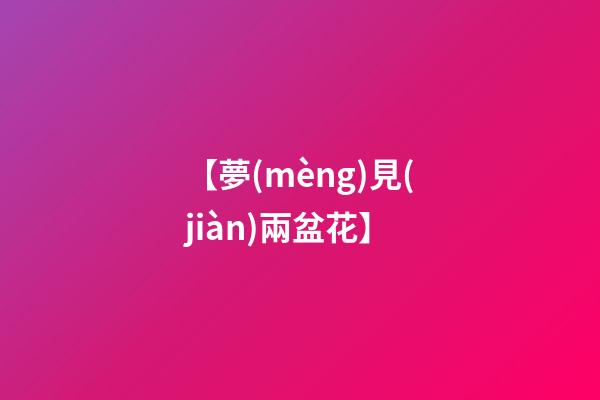 【夢(mèng)見(jiàn)兩盆花】