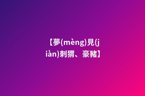 【夢(mèng)見(jiàn)刺猬、豪豬】