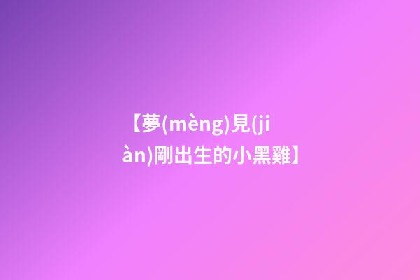 【夢(mèng)見(jiàn)剛出生的小黑雞】