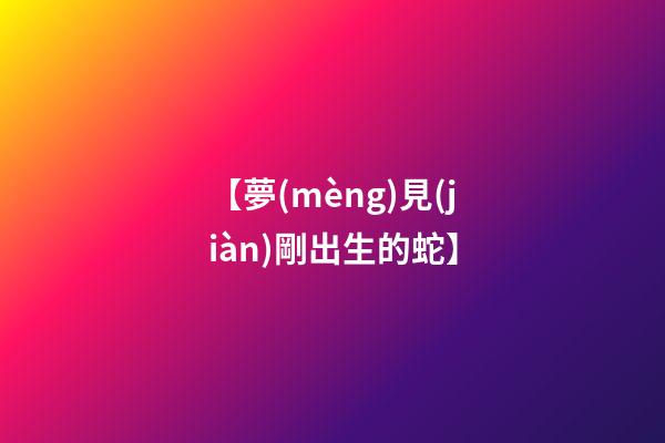 【夢(mèng)見(jiàn)剛出生的蛇】