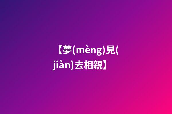 【夢(mèng)見(jiàn)去相親】
