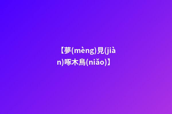 【夢(mèng)見(jiàn)啄木鳥(niǎo)】