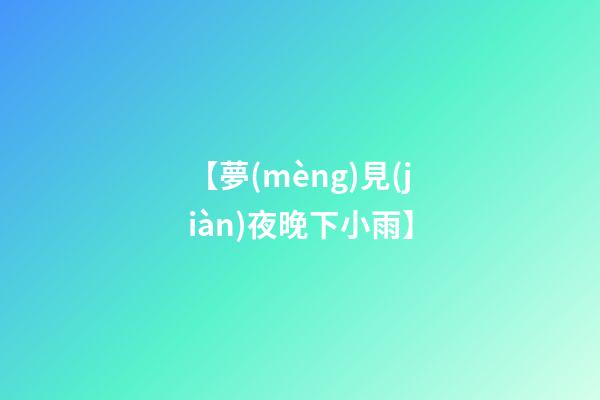 【夢(mèng)見(jiàn)夜晚下小雨】