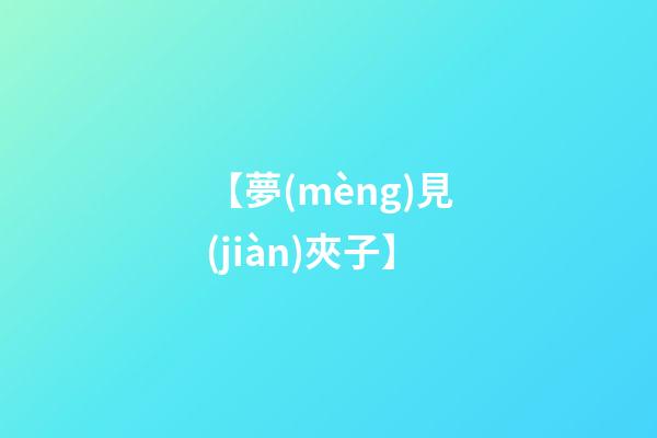 【夢(mèng)見(jiàn)夾子】