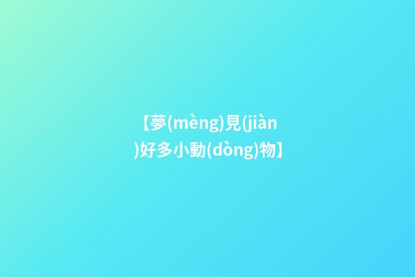 【夢(mèng)見(jiàn)好多小動(dòng)物】