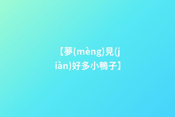 【夢(mèng)見(jiàn)好多小鴨子】