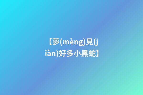 【夢(mèng)見(jiàn)好多小黑蛇】