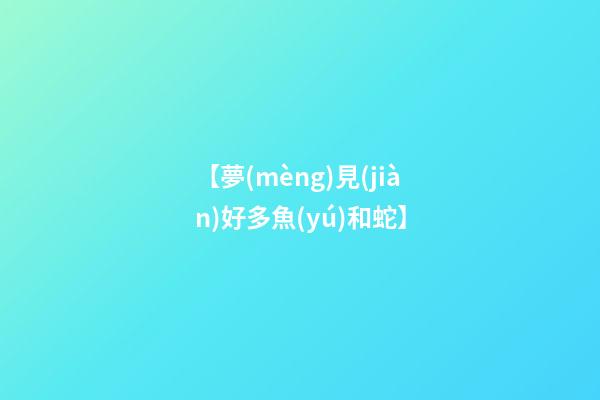 【夢(mèng)見(jiàn)好多魚(yú)和蛇】