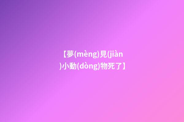 【夢(mèng)見(jiàn)小動(dòng)物死了】