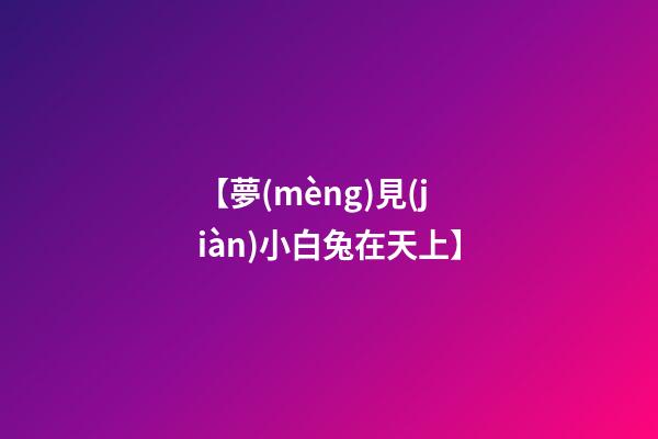 【夢(mèng)見(jiàn)小白兔在天上】