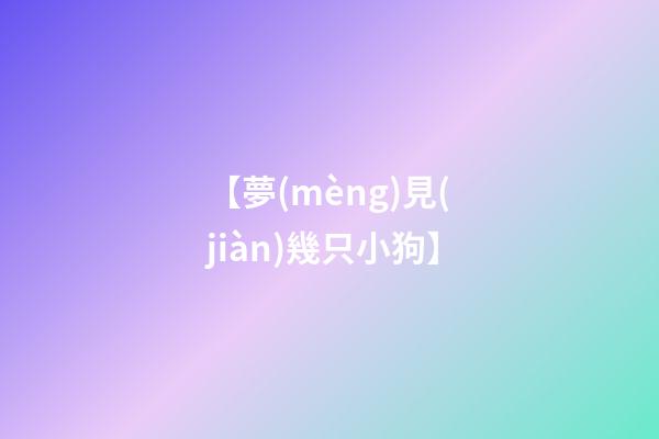 【夢(mèng)見(jiàn)幾只小狗】