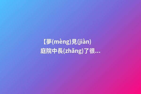 【夢(mèng)見(jiàn)庭院中長(zhǎng)了很多花草樹(shù)木】