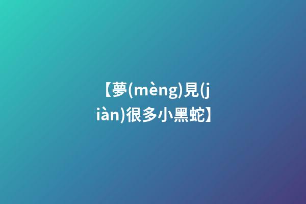 【夢(mèng)見(jiàn)很多小黑蛇】