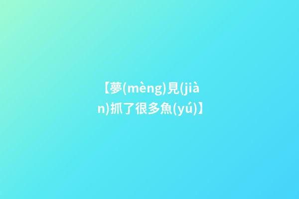 【夢(mèng)見(jiàn)抓了很多魚(yú)】