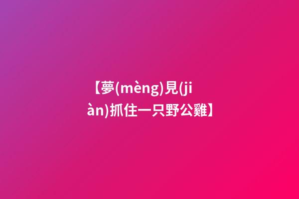 【夢(mèng)見(jiàn)抓住一只野公雞】
