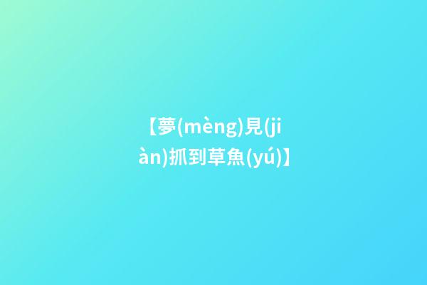 【夢(mèng)見(jiàn)抓到草魚(yú)】