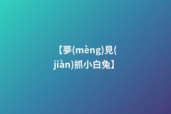 【夢(mèng)見(jiàn)抓小白兔】